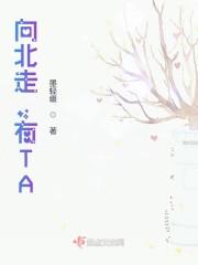 向北走，有TA