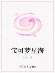 宝可梦星海