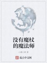 没有魔杖的魔法师