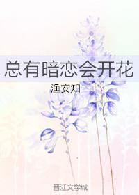 总有暗恋会开花