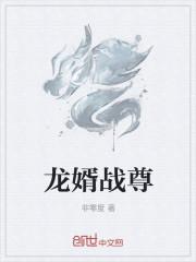 龙婿战尊