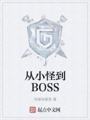 从小怪到BOSS