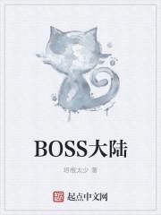 BOSS大陆