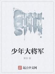 少年大将军