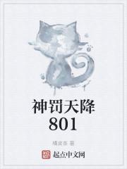 神罚天降801