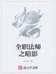 全职法师之暗影