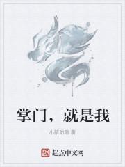 掌门，就是我