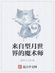 来自型月世界的魔术师