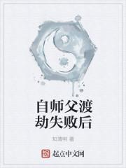 自师父渡劫失败后