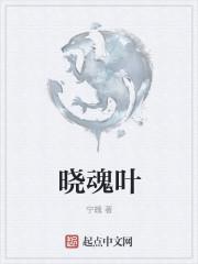 晓魂叶