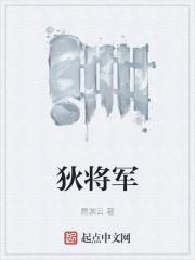 狄将军