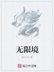 无限境