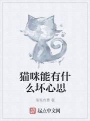 猫咪能有什么坏心思